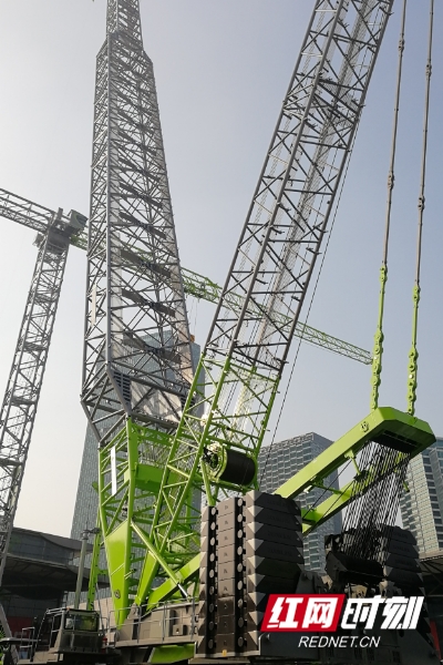 1610959693605290.jpg 164ef463-55ce-410e-9765-c5db6c1950c8.jpg